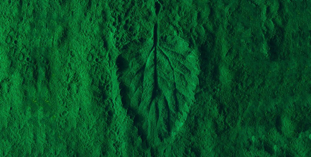 Green Powder: A sustainable Innovation